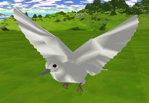 Satin Dove Avatar