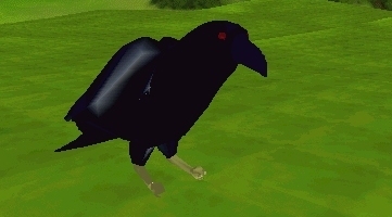 Raven Avatar