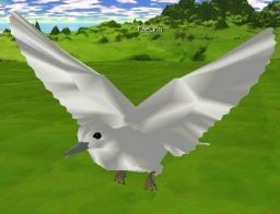 Click Picture To View More Larger, Higher Resolution Pictures of this Satin Dove Avatar