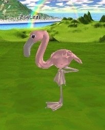 Click Picture To View More Larger, Higher Resolution Pictures of this Pink Flamingo Avatar