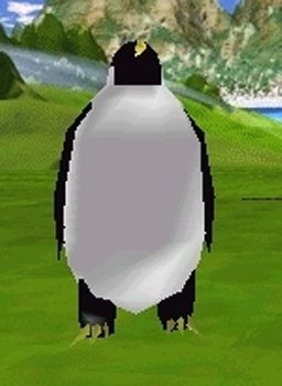 Click Picture To View More Larger, Higher Resolution Pictures of this Penguin Avatar