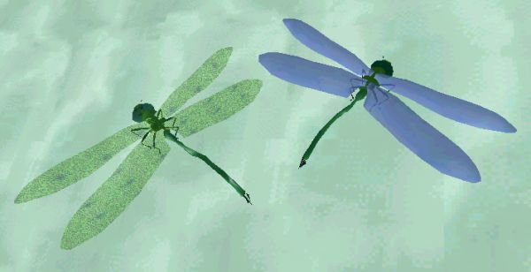 Dragonfly